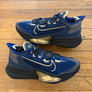 Nike Air Zoom BB NXT "Blue Void/Metallic Gold" - Size 8